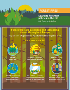 Forest fires infographic