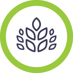 agriculture-icon_250x250px.png